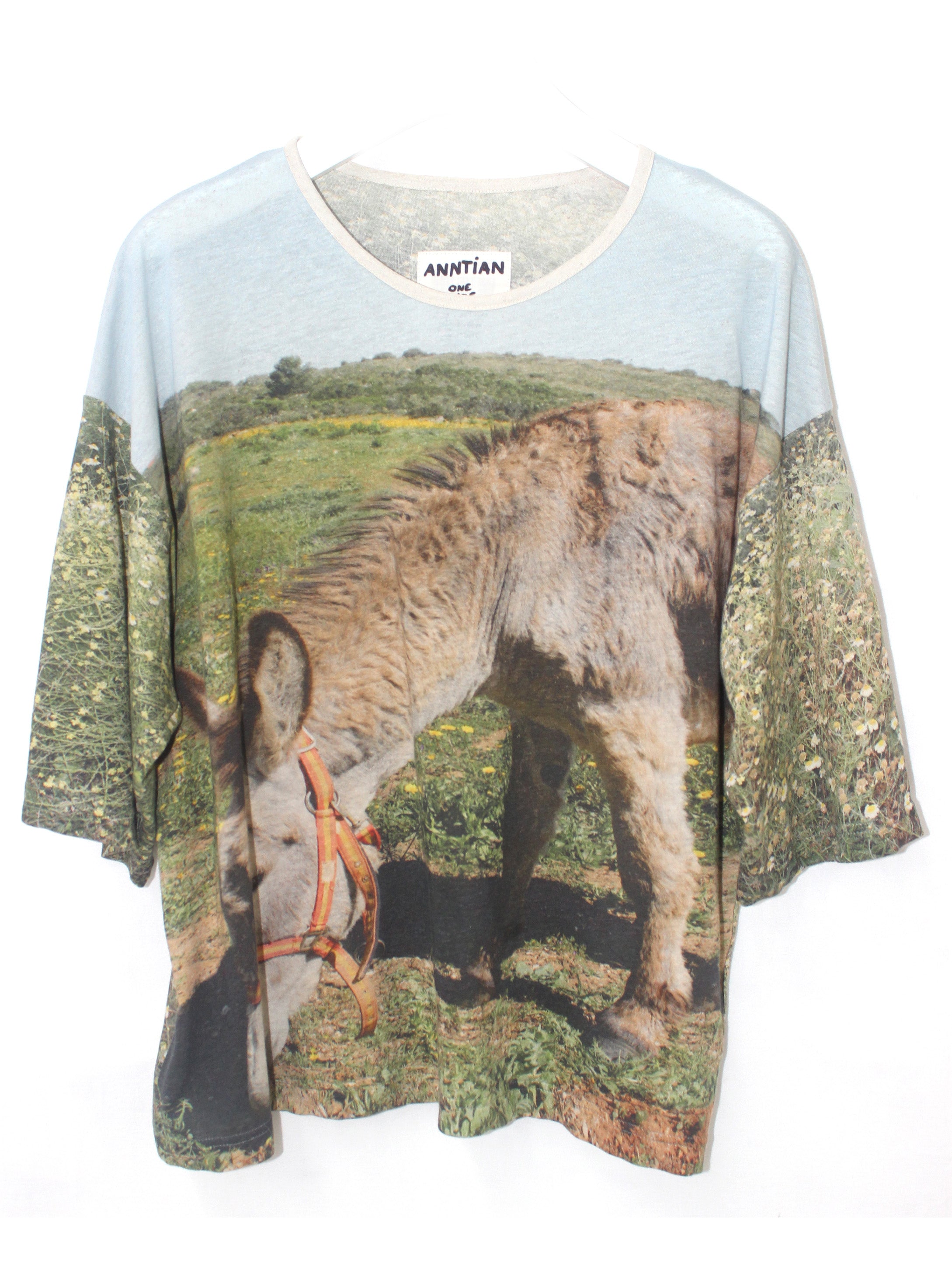 Anntian T-Shirt in Print KL, a loose-fit t-shirt featuring a print of a donkey on a grass field, round neck and short sleeves, shown flat from the front on a white background