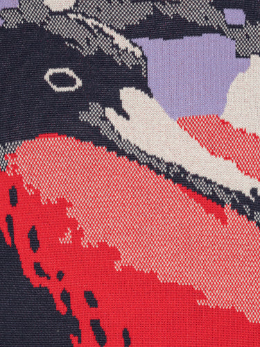 Close-up of the Henrik Vibskov Frigate Crewneck in Frigate, highlighting the multicolour frigate bird illustration and knit texture.