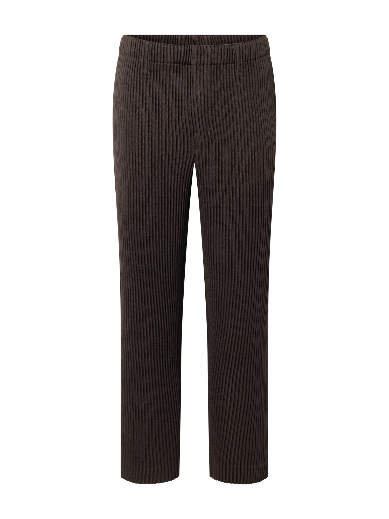 Kersey Pleats Pants in Brown from Homme Plissé Issey Miyake