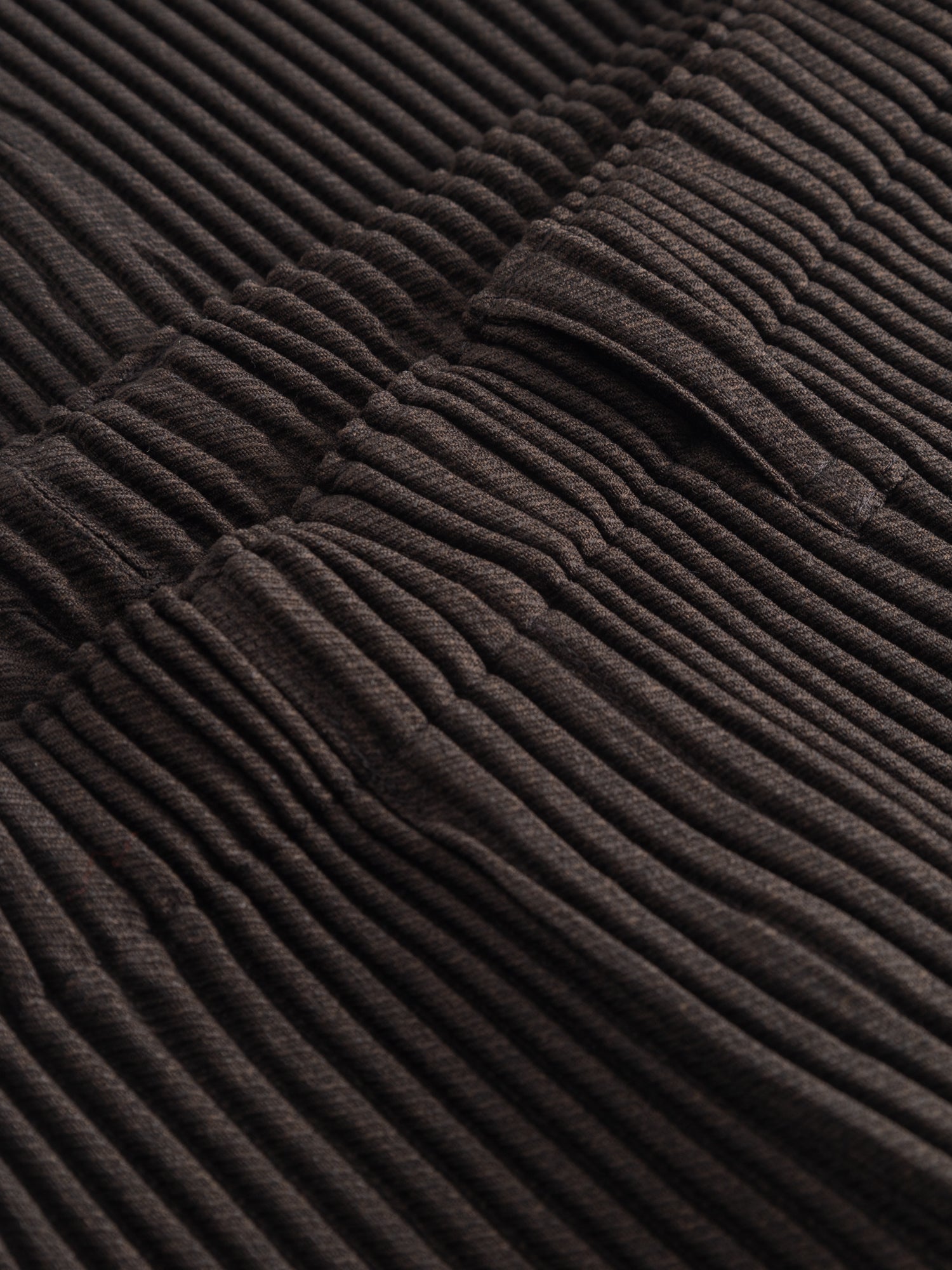 Kersey Pleats Pants in Brown from Homme Plissé Issey Miyake