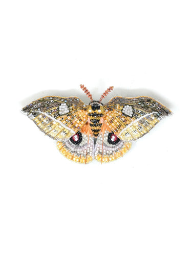 Decorative brooch, moth design with beads and sequins, handmade in India