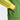 adidas Originals Wales Bonner - knit track top is yellow and green - 7