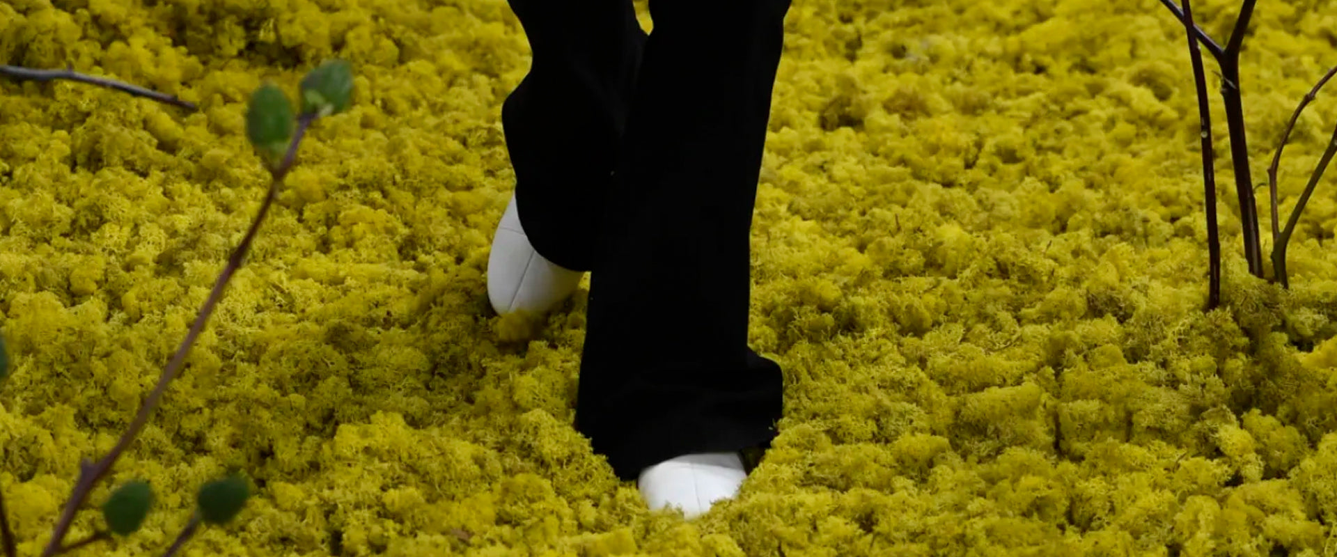 Raf Simons