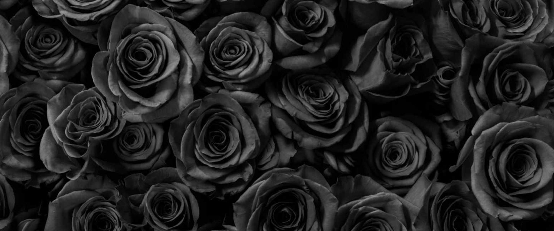 VIKTOR & ROLF
