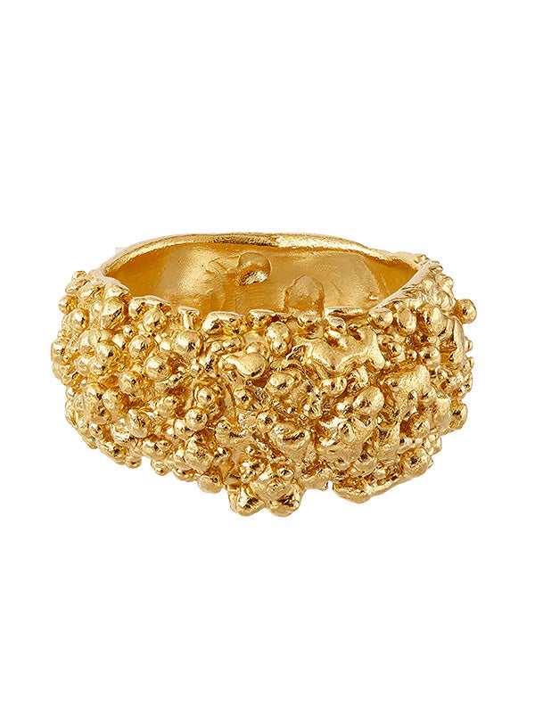 The Rocky Road Ring - Gold