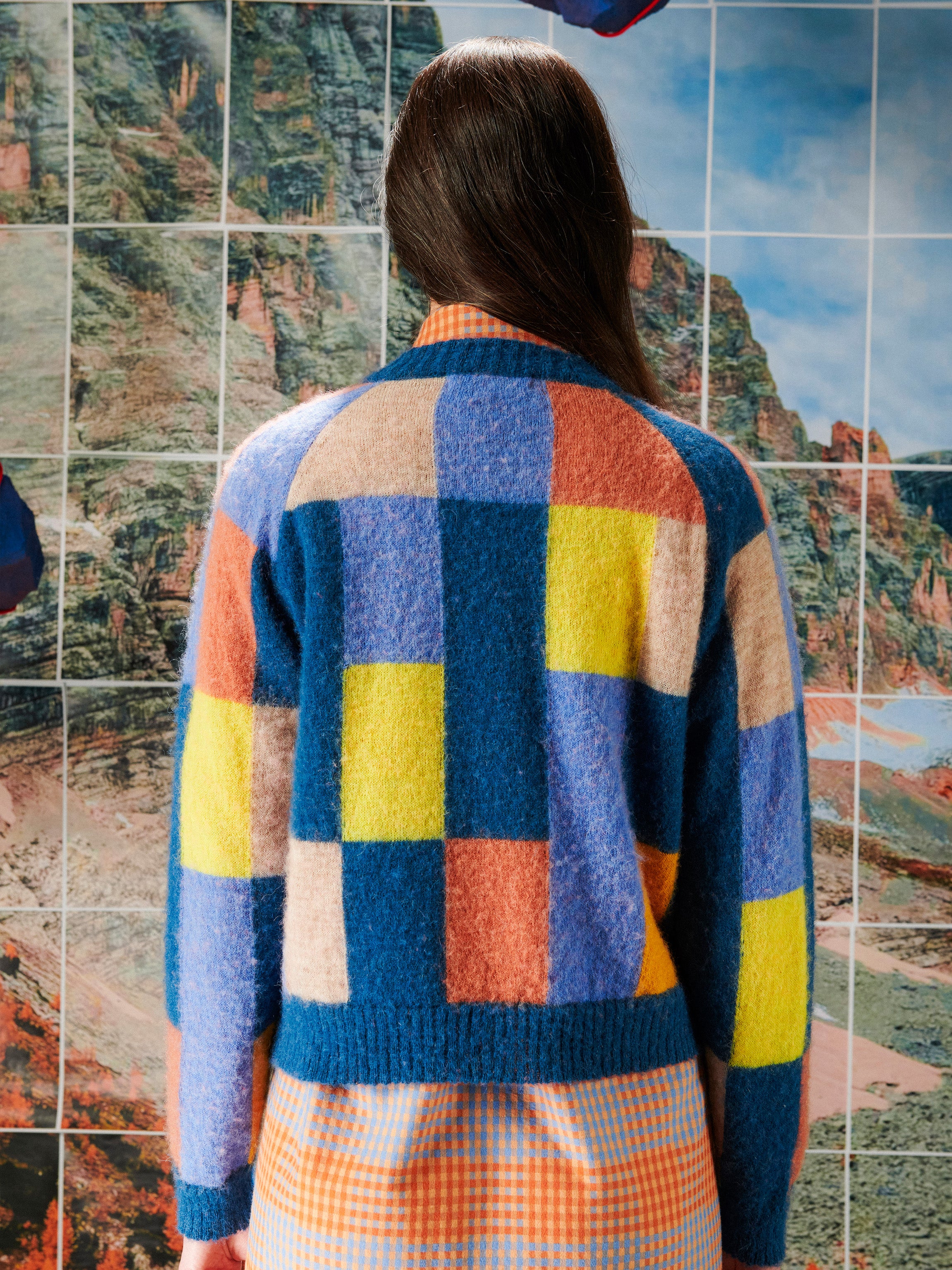 Person wearing a colorful checkered sweater standing in front of a scenic wall.