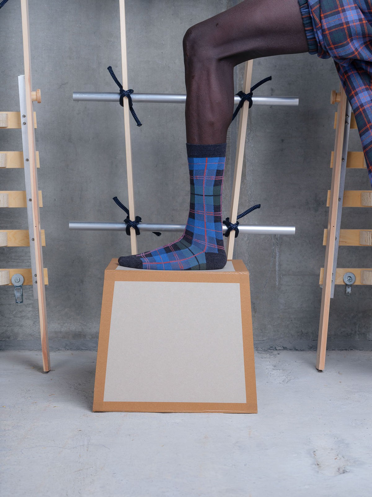 Ribbit Sock - Green Blue Dashed Checks