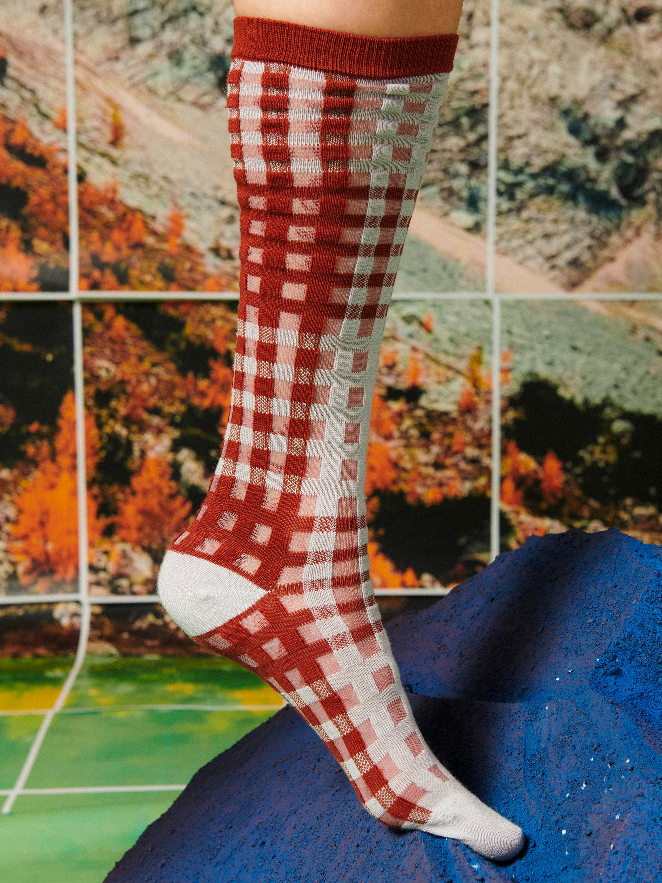 Red and white checkered knee-high sock on a person's foot against a colorful abstract background.