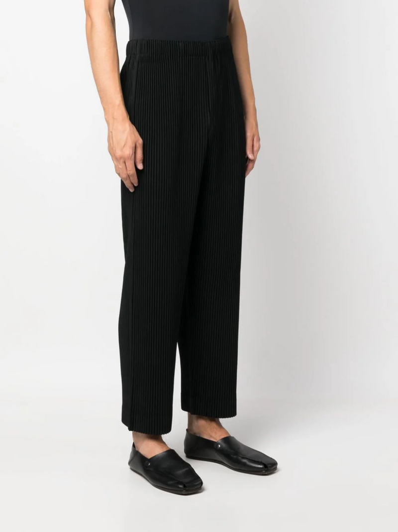 Issey miyake 2025 pleats pants