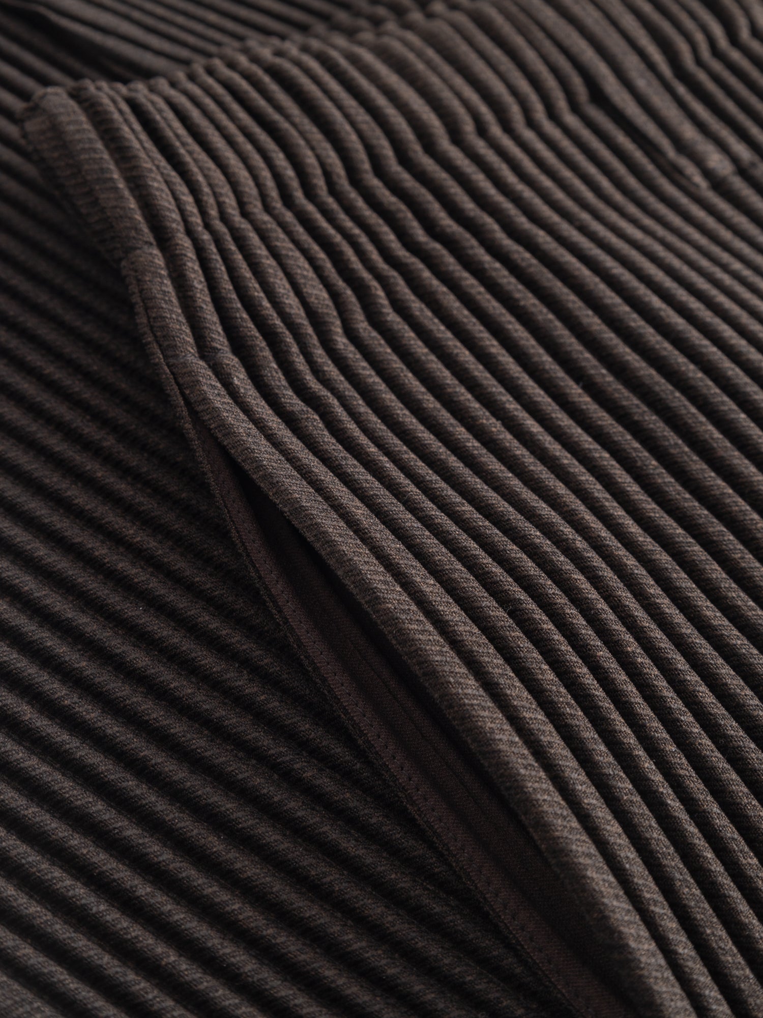 Kersey Pleats Pants in Brown from Homme Plissé Issey Miyake