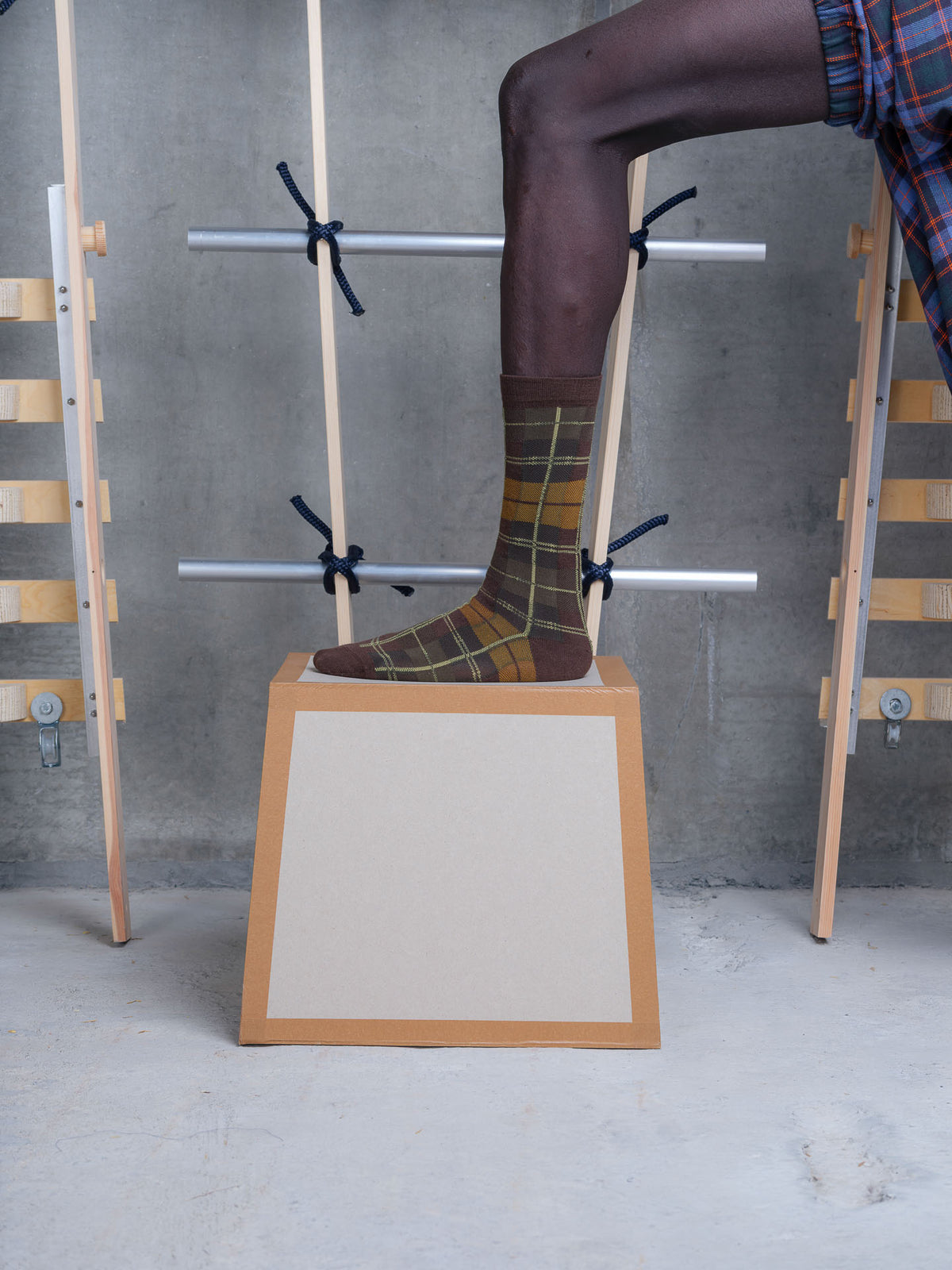 Ribbit Sock - Brown Green Dashed Checks